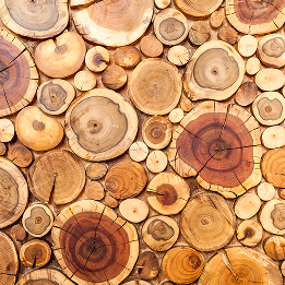 Picture for category woody
